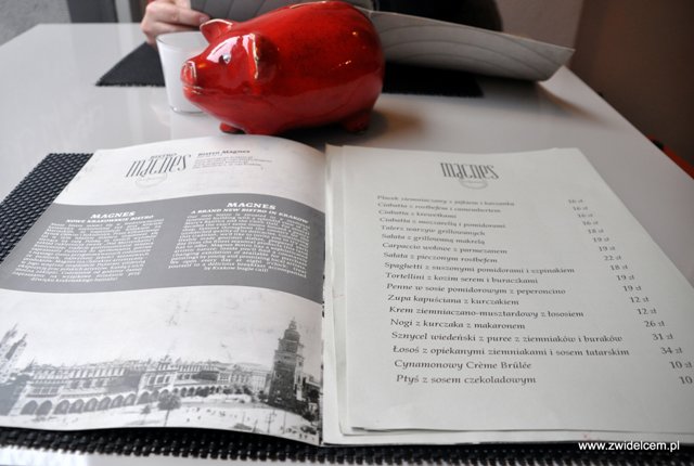 Bistro Magnes - menu