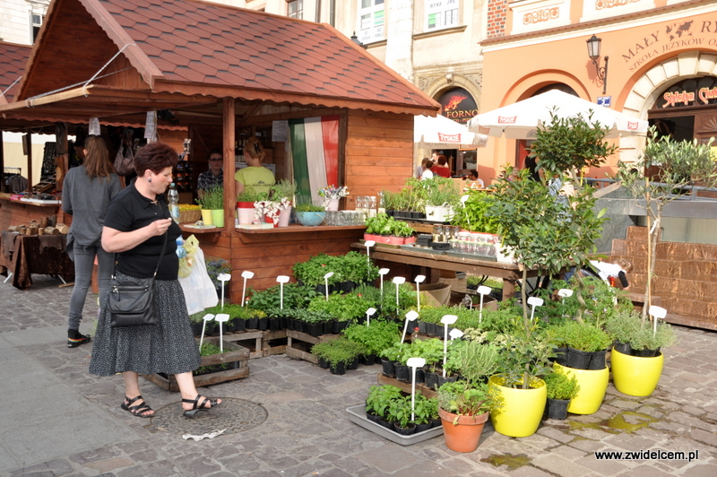 Kraków - Mały Rynek - Dni Węgrzyna - Ogród Łobzów - stoisko