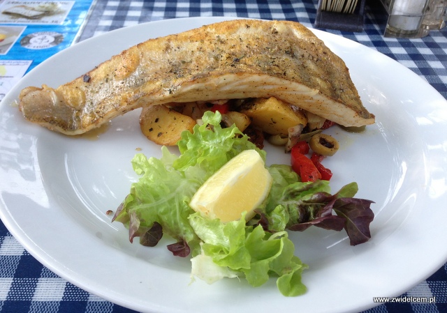 Morawy – Brno – Přístav – okoń