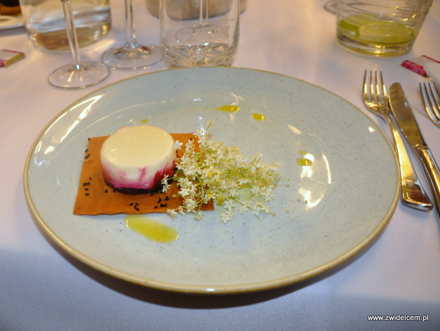Kraków – Barka – Kolacja z Twój Kucharz – panna cotta z koziego sera, galaretka z buraka, ciasto filo, czarnuszka, ogórecznik